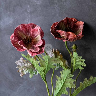 Eva Poppy Spray XF9937