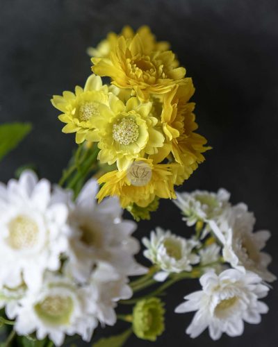 Chrysanthemum Spray XF9949 - Image 3