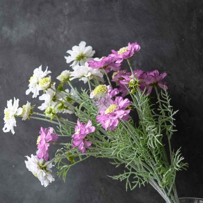 Scabiosa Spray XF9945