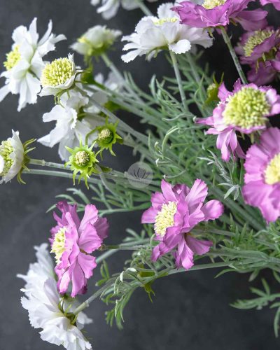 Scabiosa Spray XF9945 - Image 2