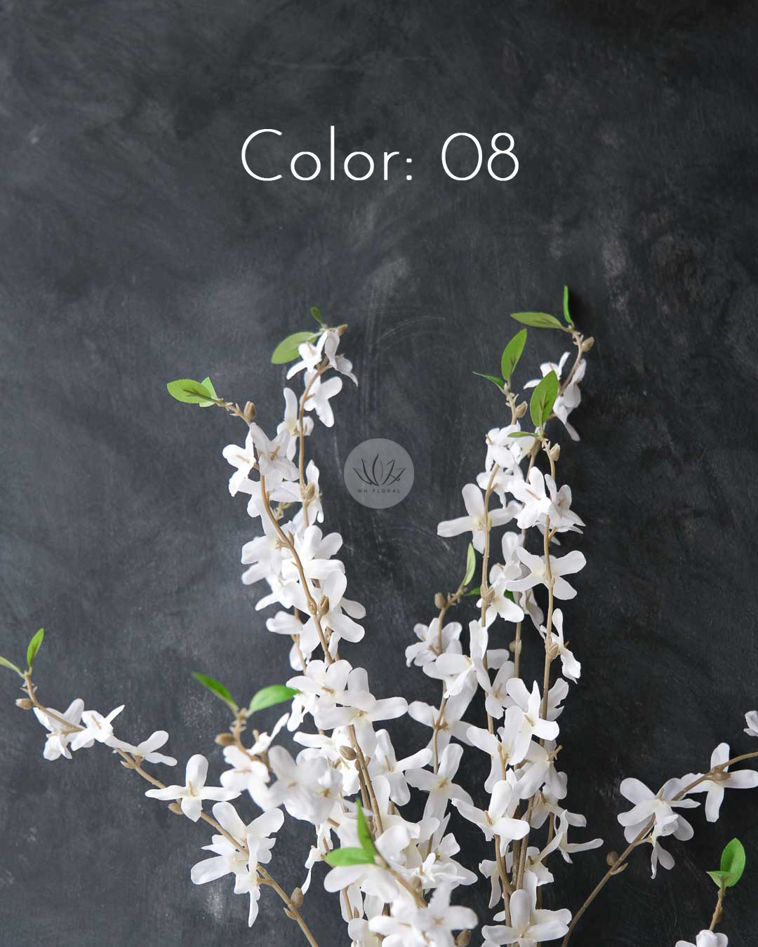 Winter Jasmine XF9950 - Image 8