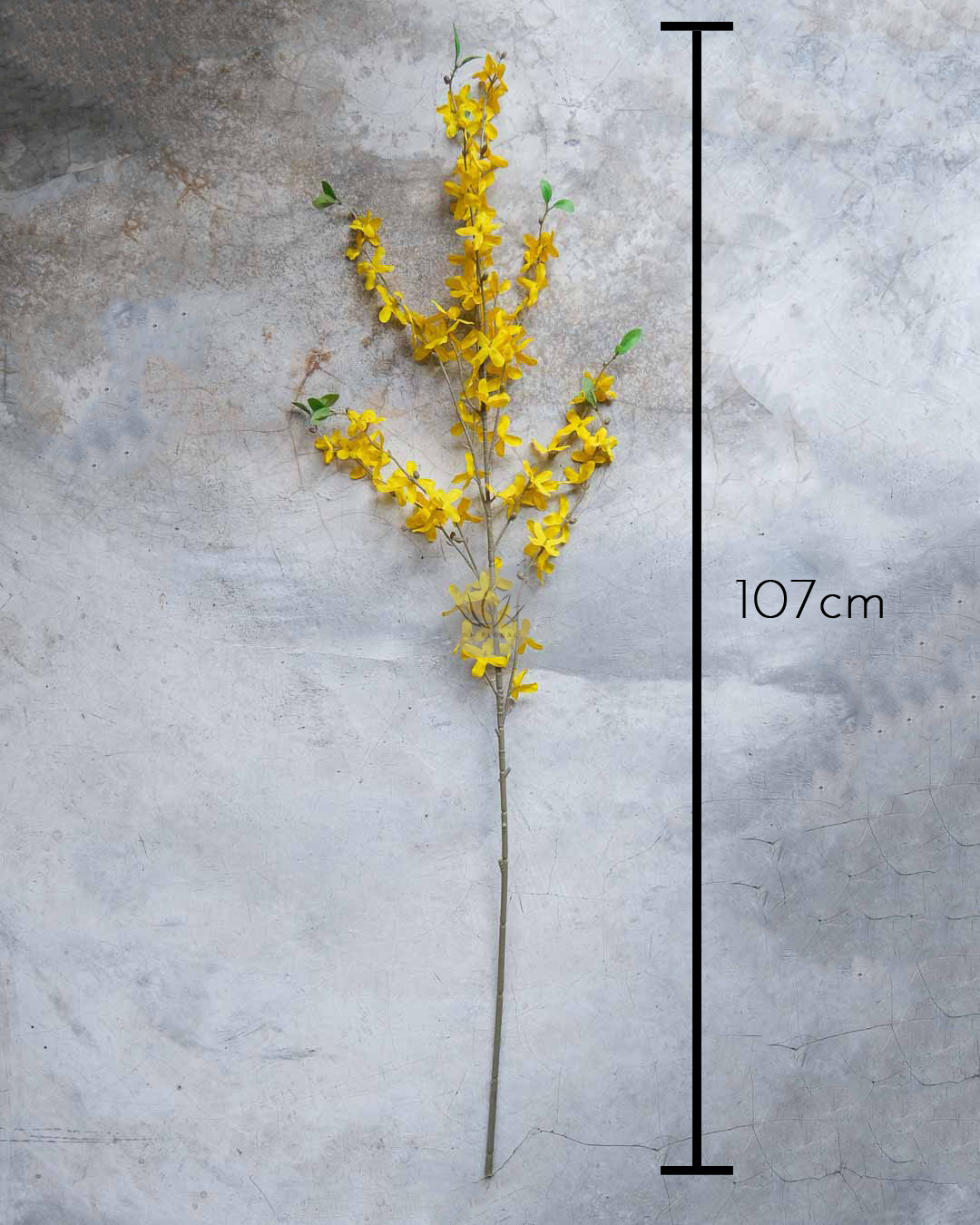 Winter Jasmine XF9950 - Image 10