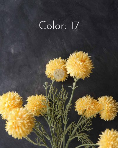 Pom Mum Spray XF9948 - Image 10
