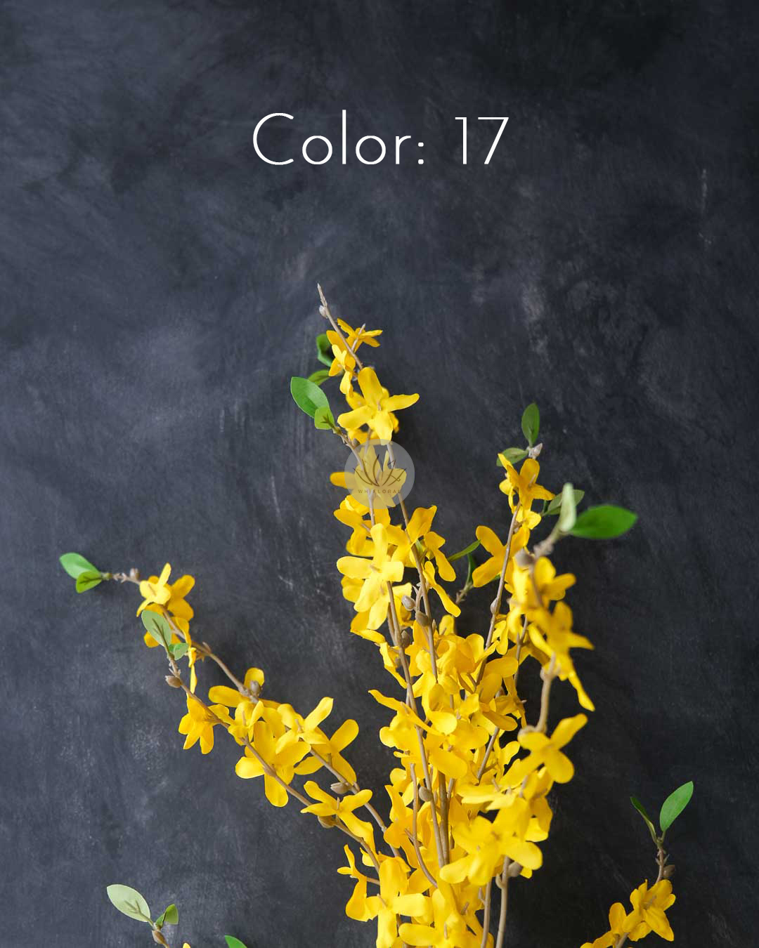 Winter Jasmine XF9950 - Image 7