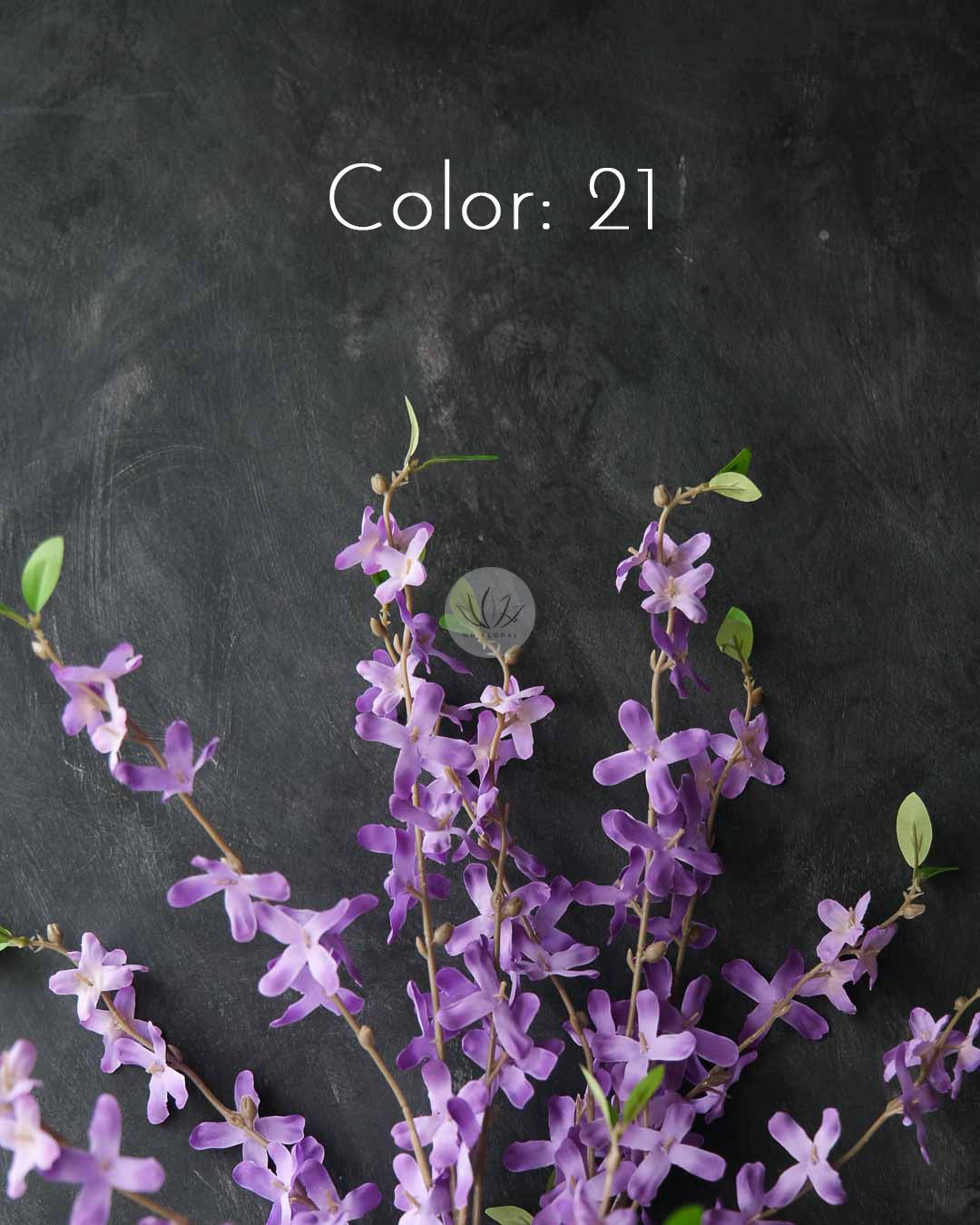 Winter Jasmine XF9950 - Image 6