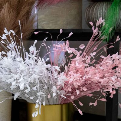 Peacock Grass Spray XF9957