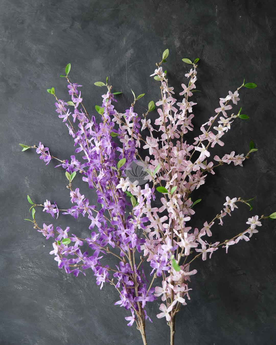 Winter Jasmine XF9950