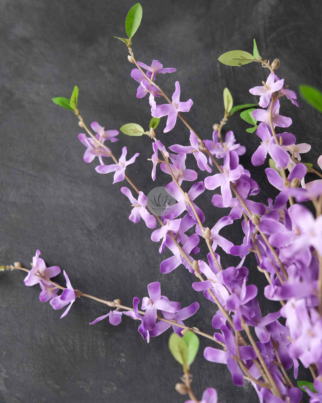 Winter Jasmine XF9950 - Image 3