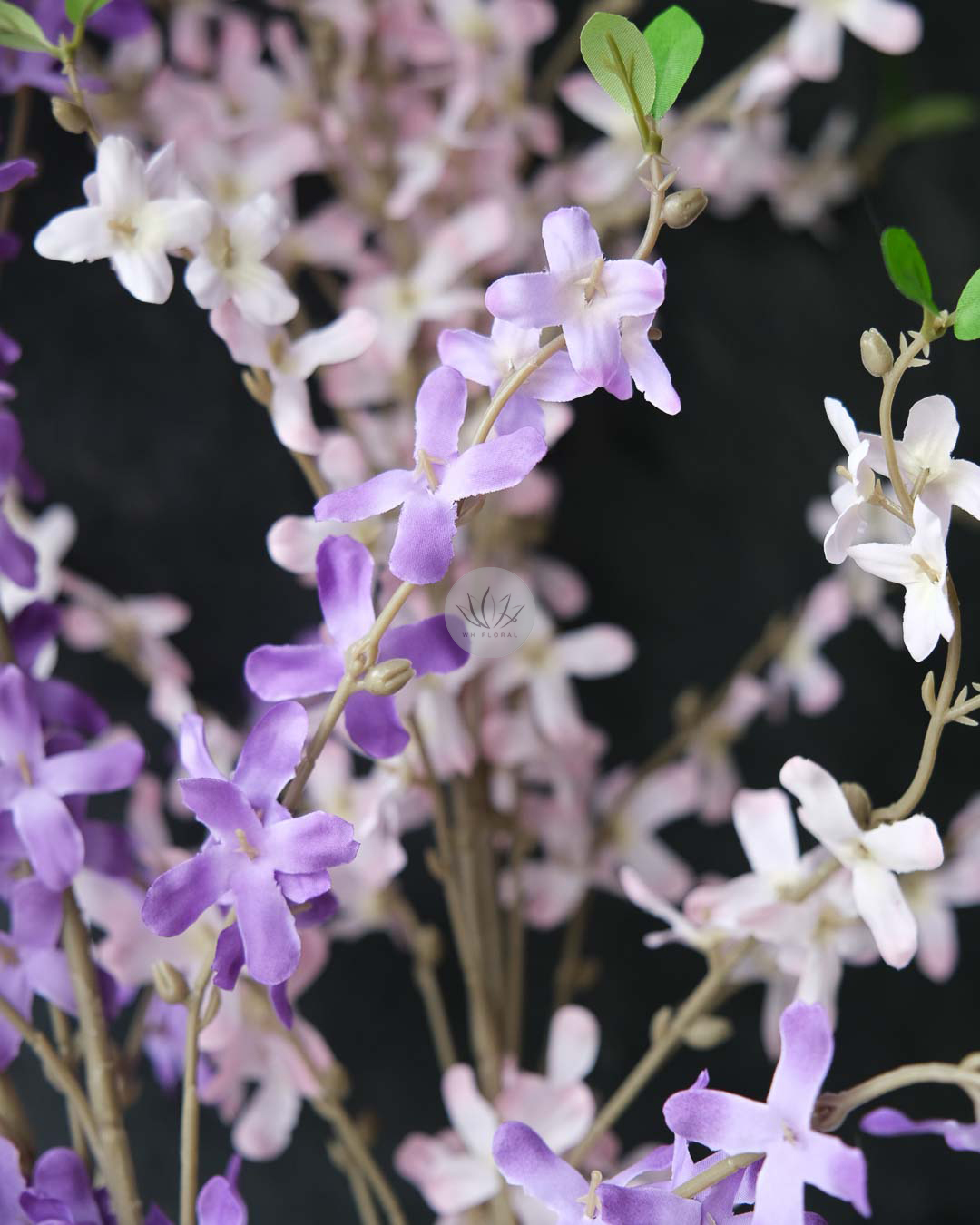 Winter Jasmine XF9950 - Image 4