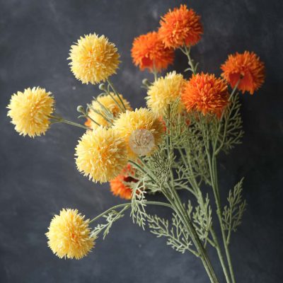 Pom Mum Spray XF9948