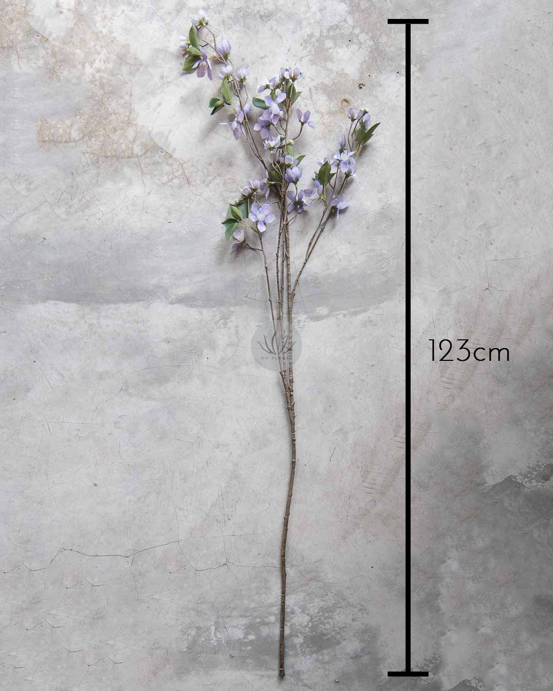 Star Flower BF448 - Image 11