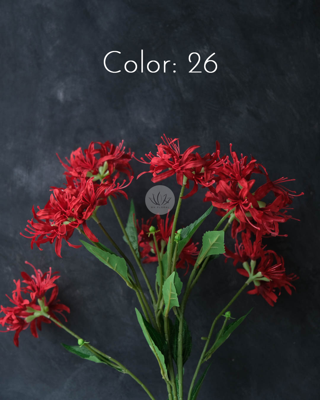 Spider Lily Spray XF9944 - Image 8