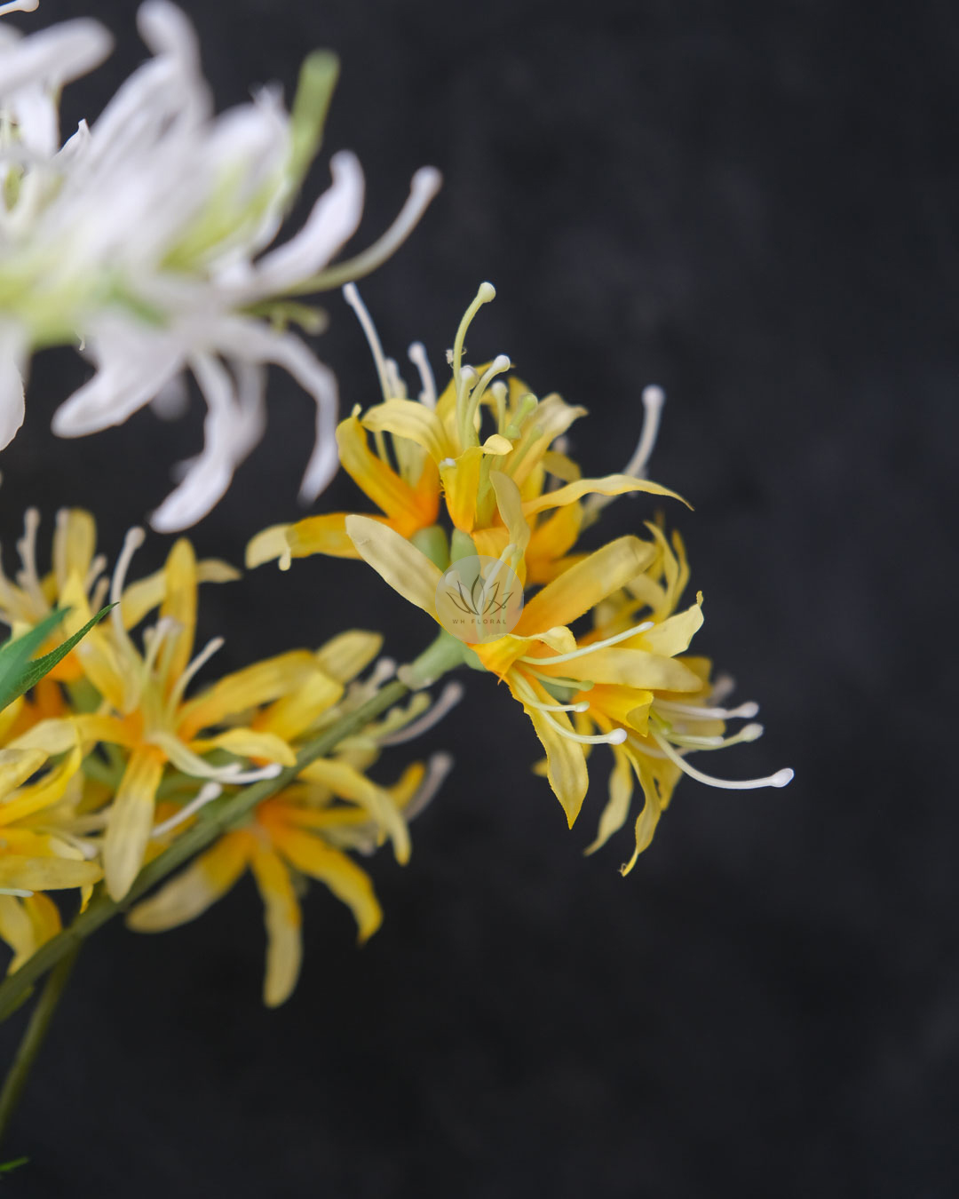 Spider Lily Spray XF9944 - Image 4
