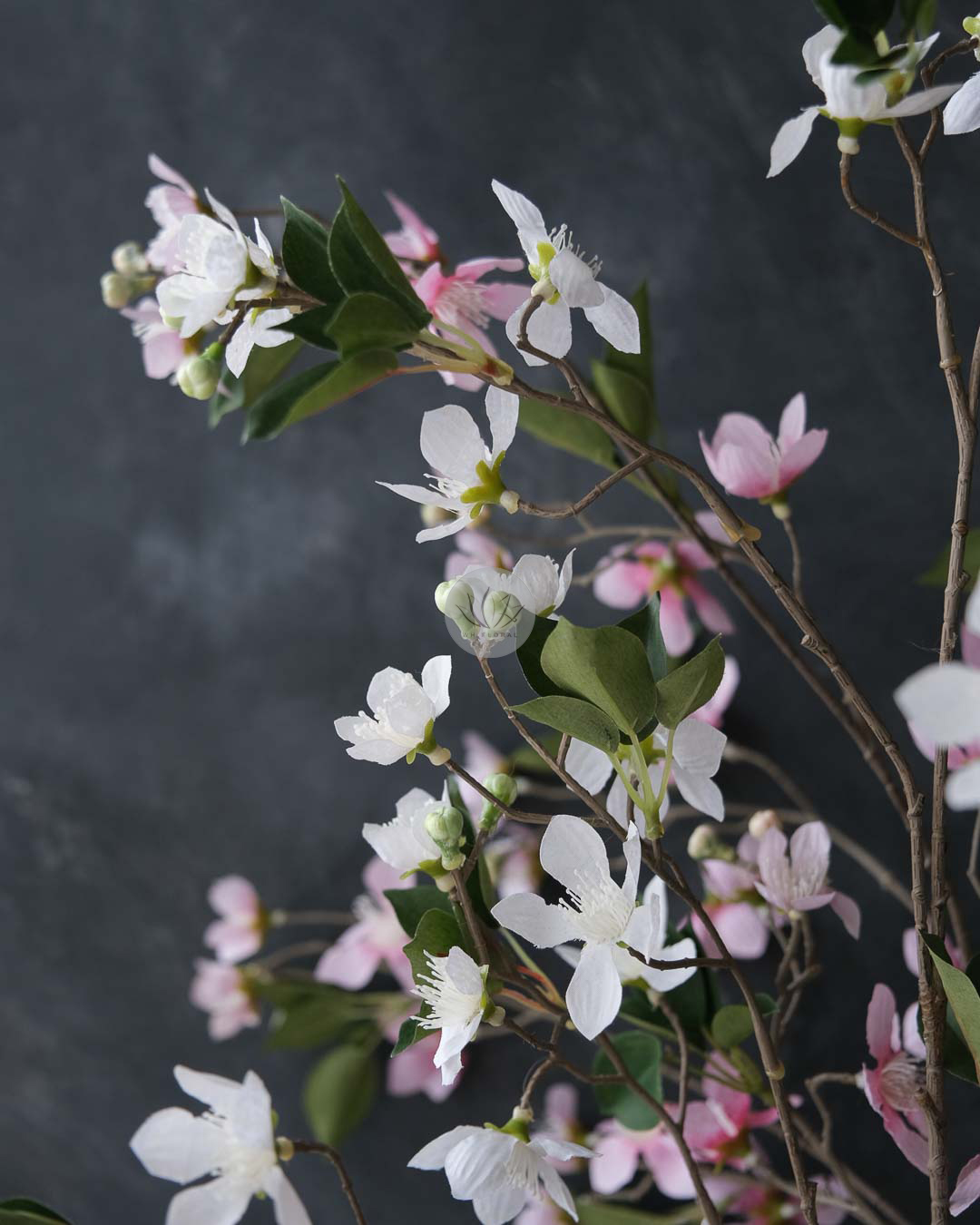 Star Flower BF448 - Image 2