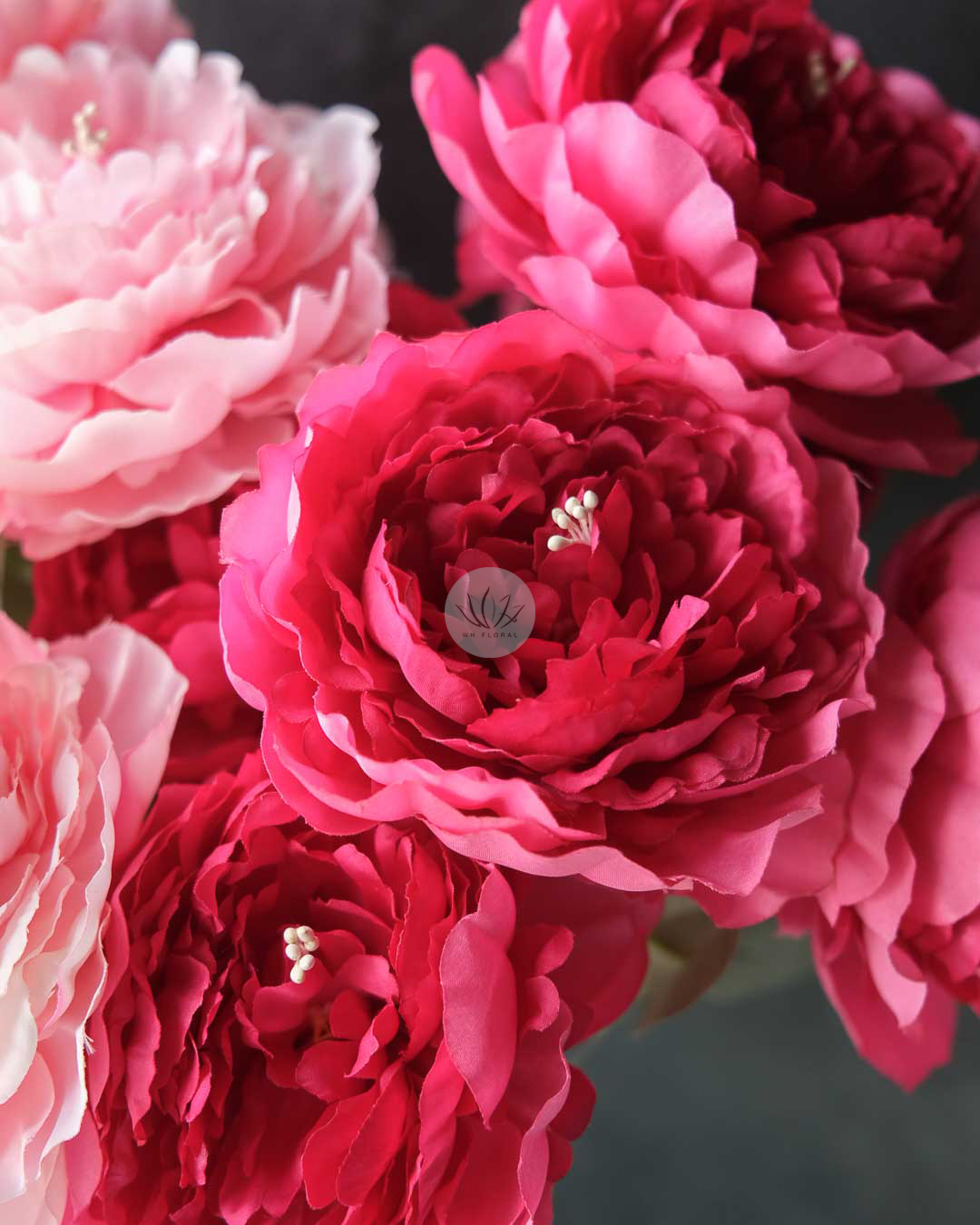 Peony Bush XF9925 - Image 2