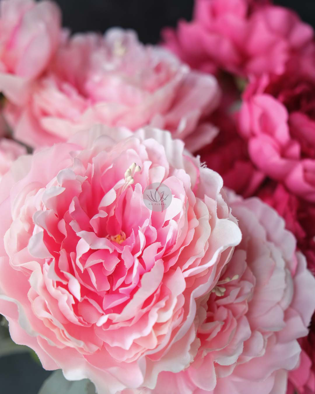 Peony Bush XF9925 - Image 3