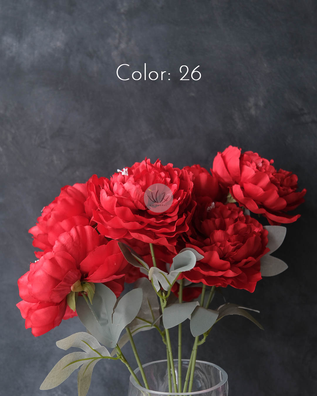 Peony Bush XF9925 - Image 7