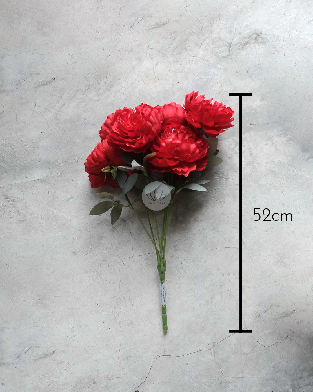 Peony Bush XF9925 - Image 8