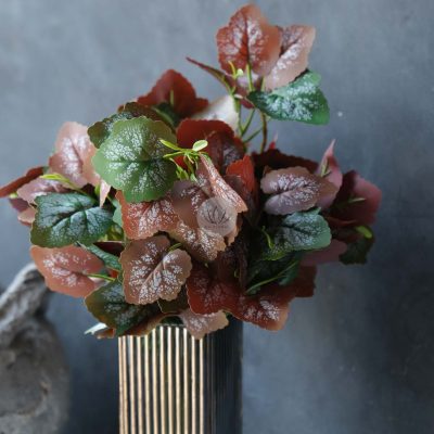 Grape Leaf Bush BP85