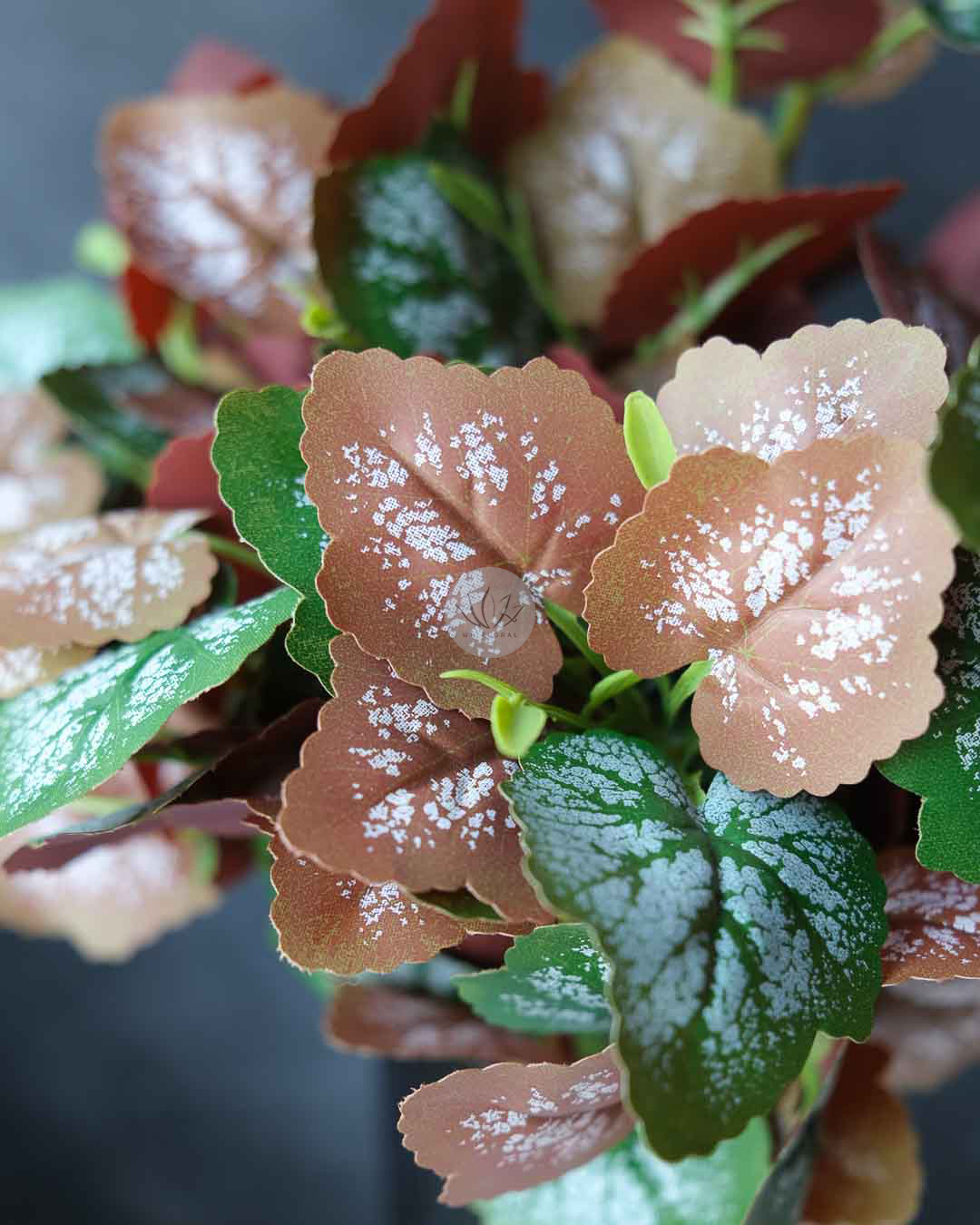 Grape Leaf Bush BP85 - Image 3