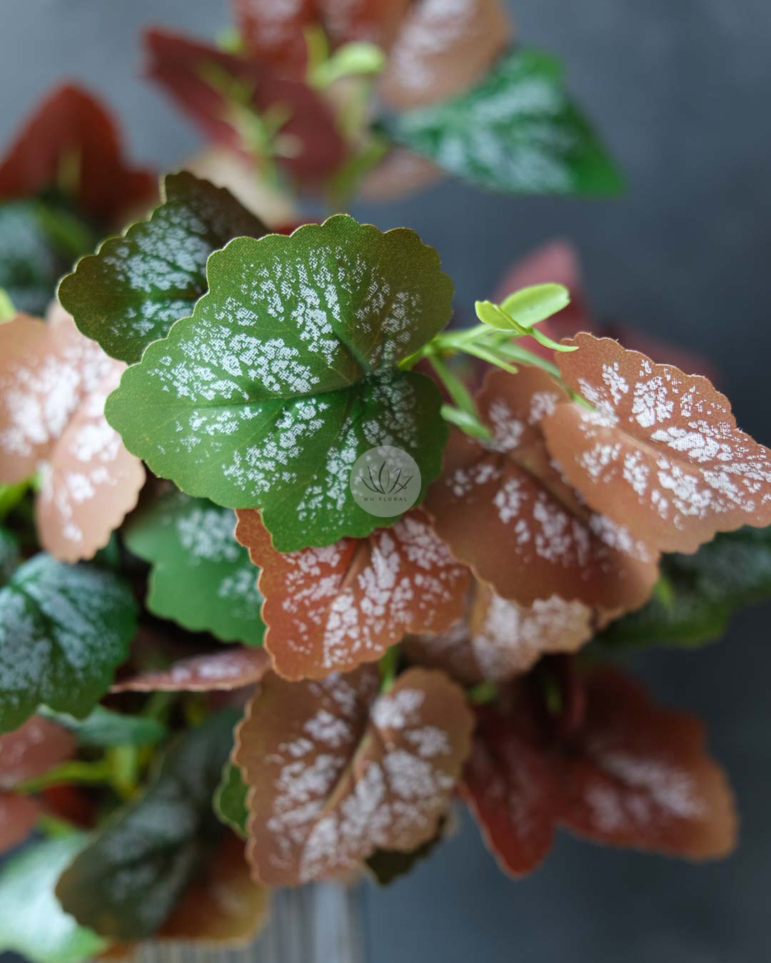 Grape Leaf Bush BP85 - Image 4
