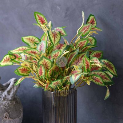 Caladium Bush BP86