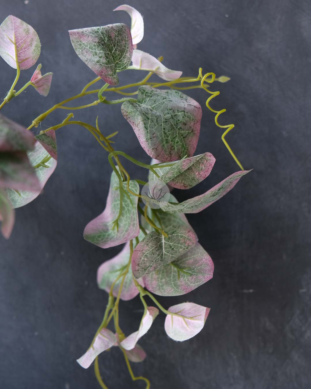 Pothos Bush XL9529 - Image 2