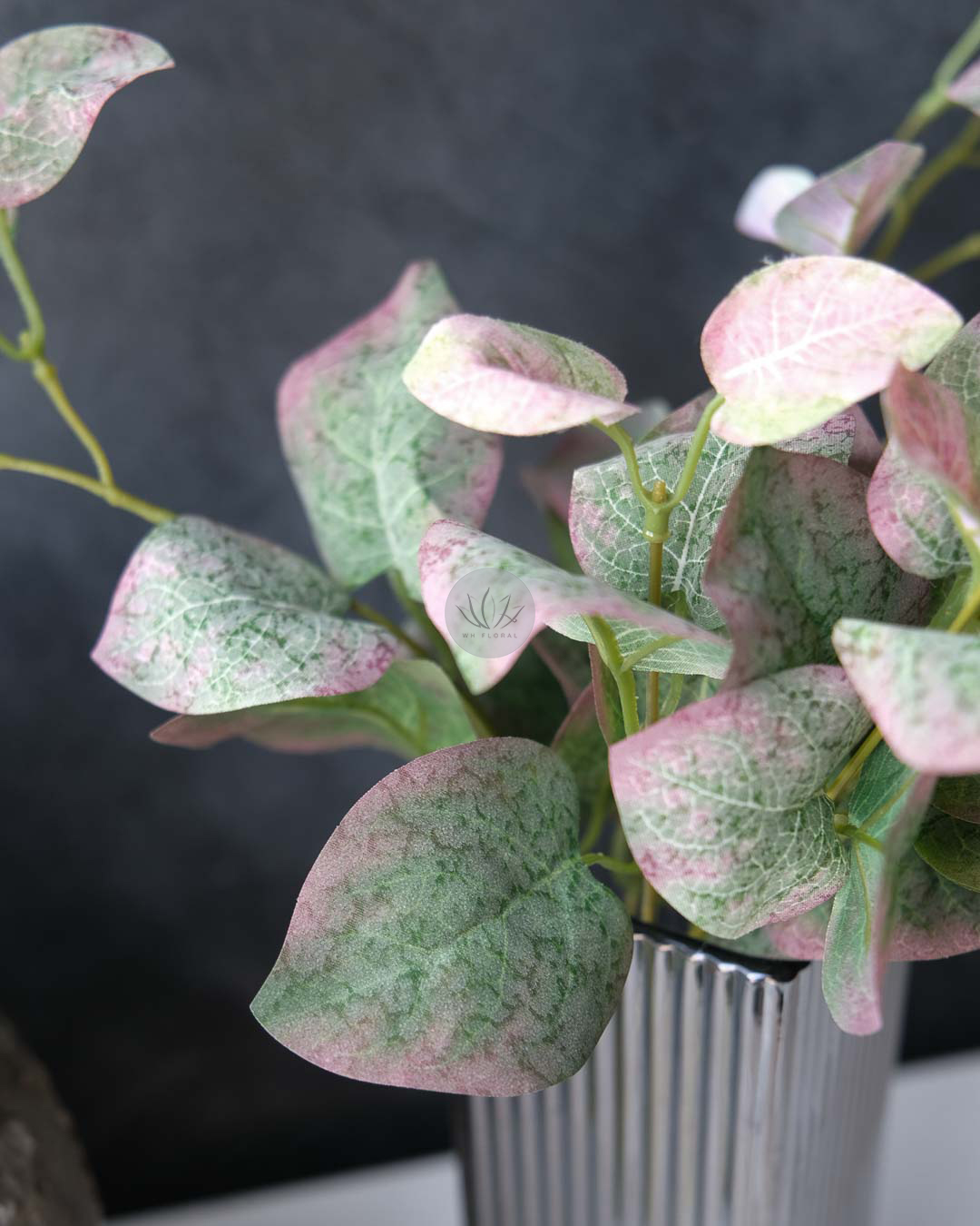 Pothos Bush XL9529 - Image 3