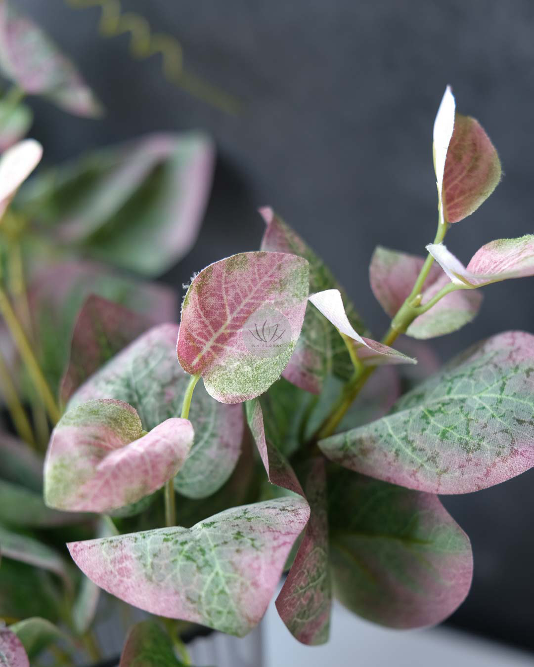 Pothos Bush XL9529 - Image 4