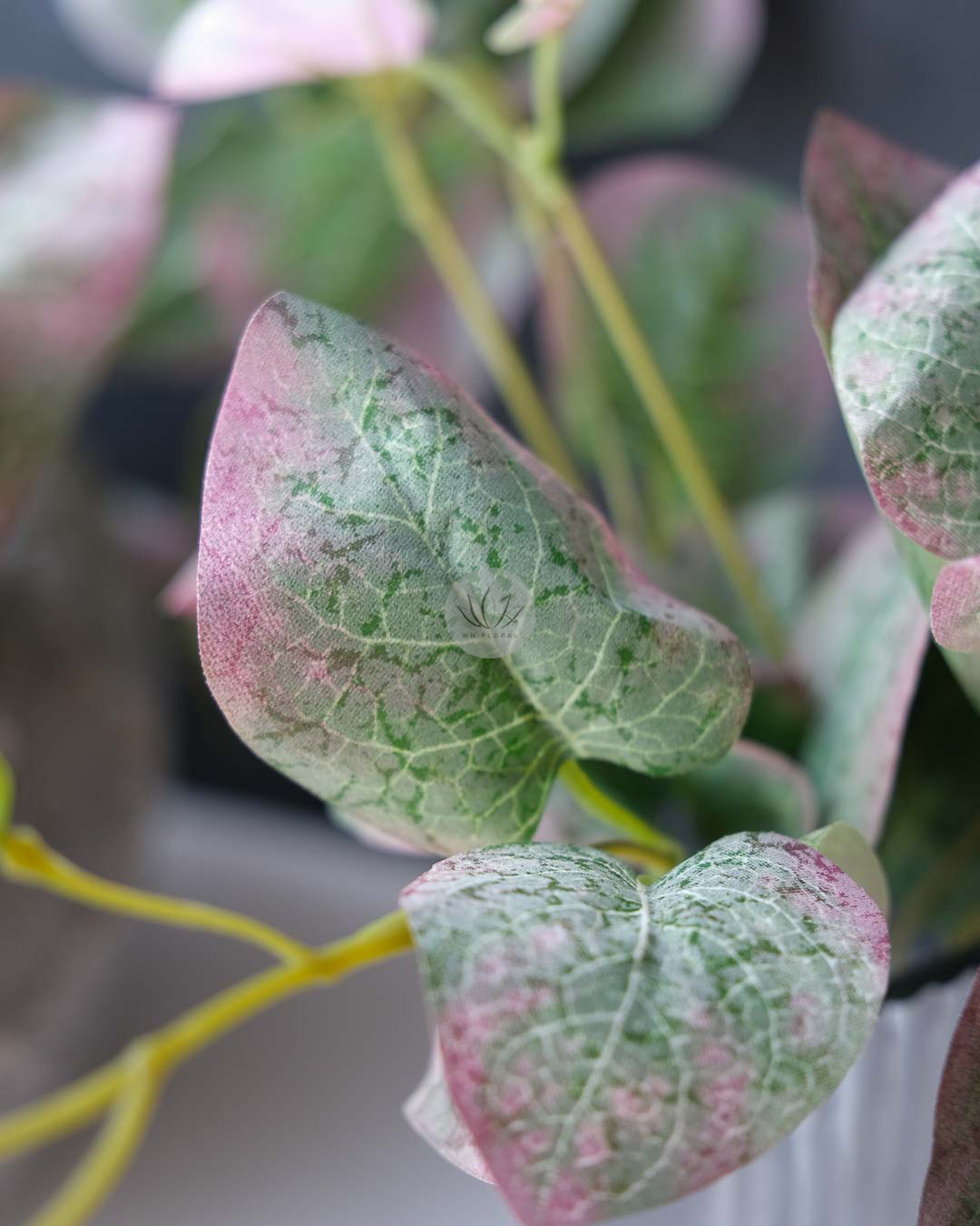 Pothos Bush XL9529 - Image 5