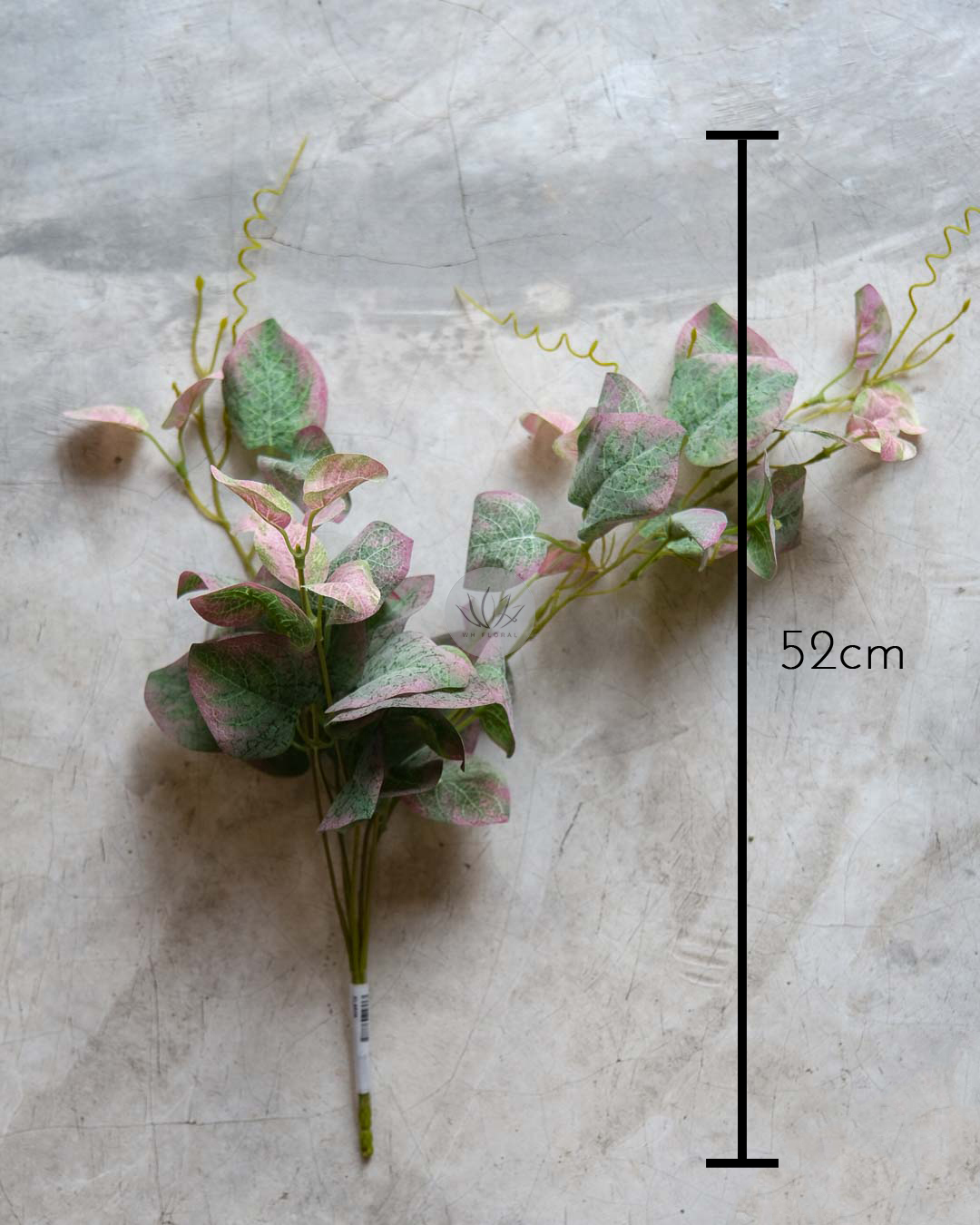 Pothos Bush XL9529 - Image 6