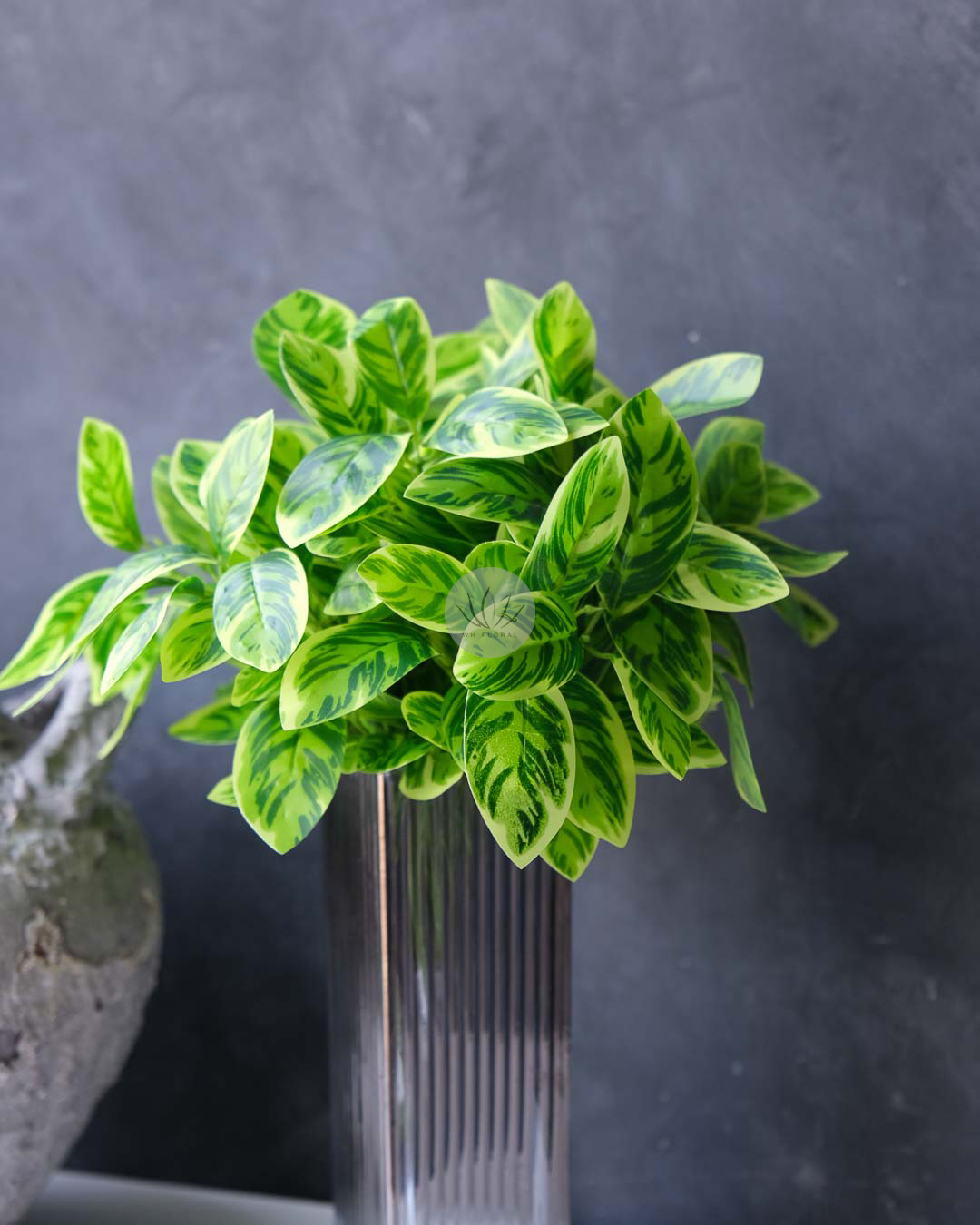 Zebra Bush XL9702-108