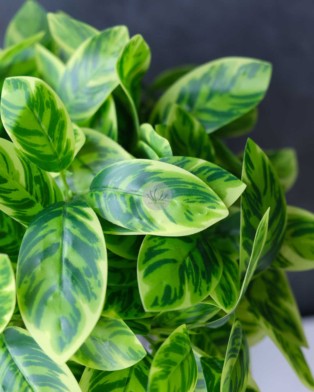 Zebra Bush XL9702-108 - Image 2