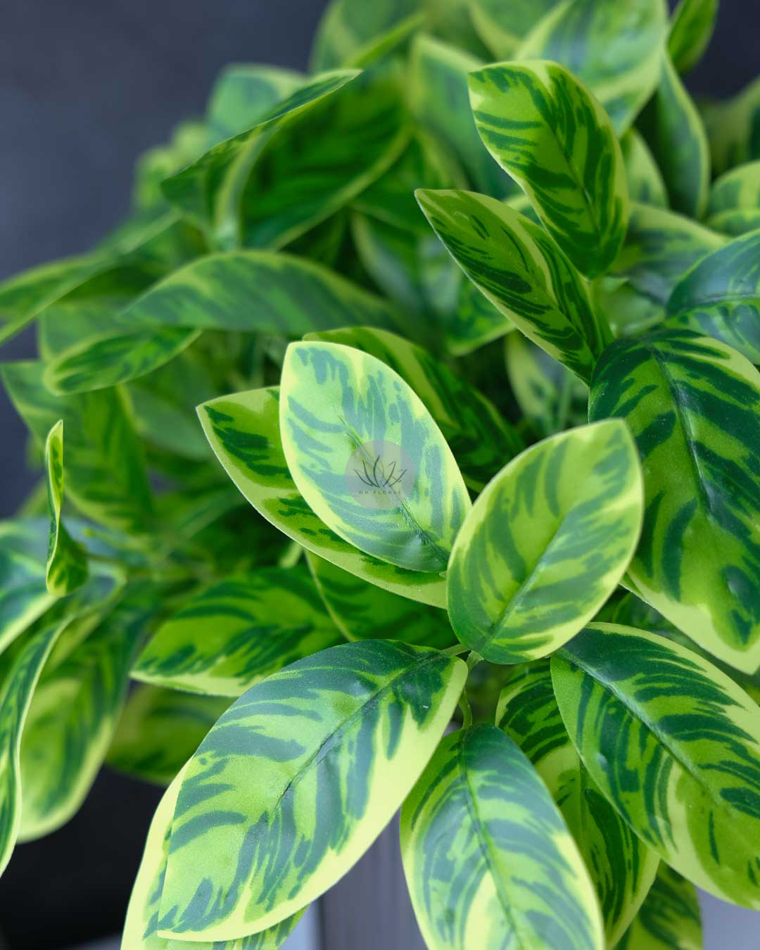 Zebra Bush XL9702-108 - Image 3