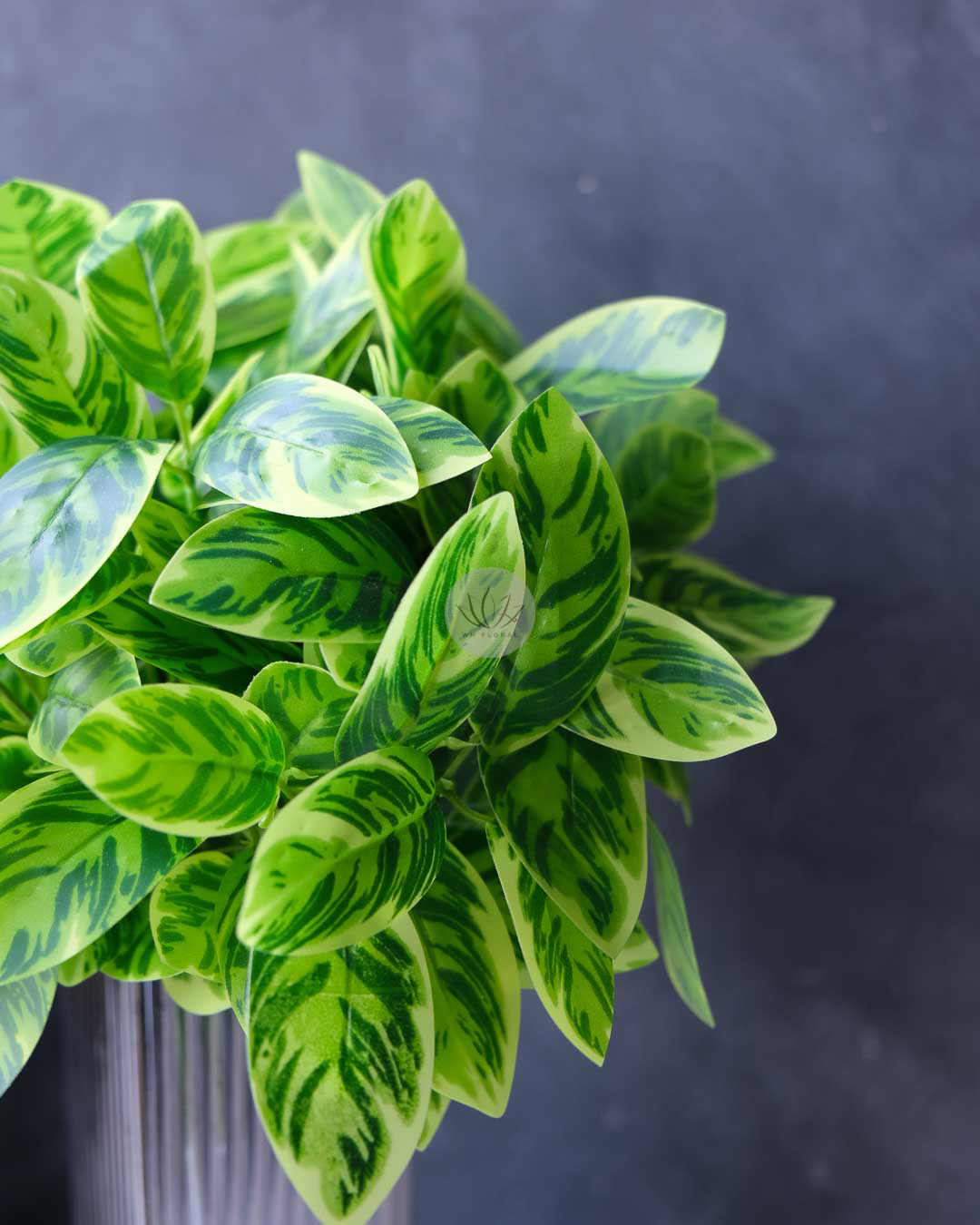 Zebra Bush XL9702-108 - Image 4