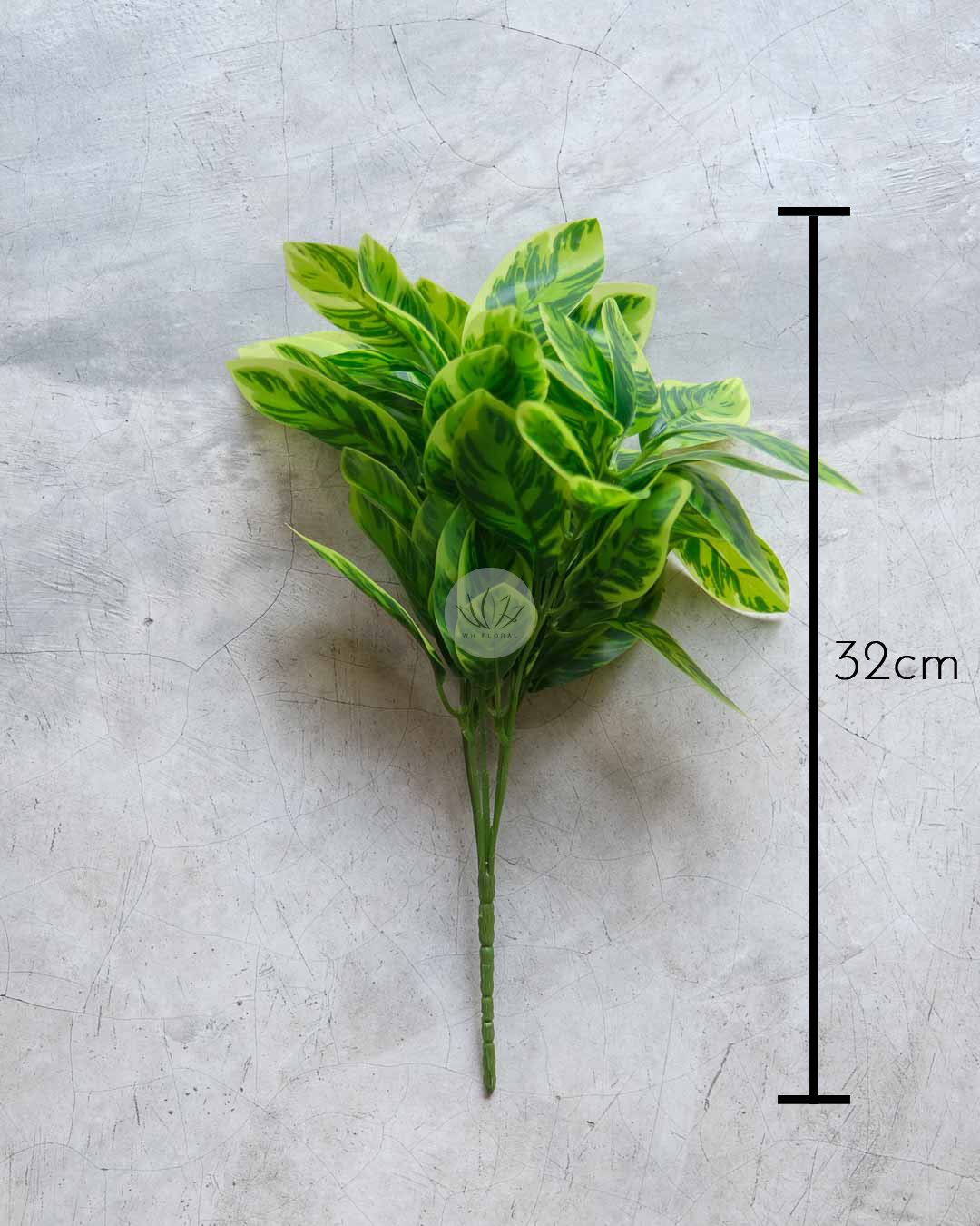 Zebra Bush XL9702-108 - Image 5