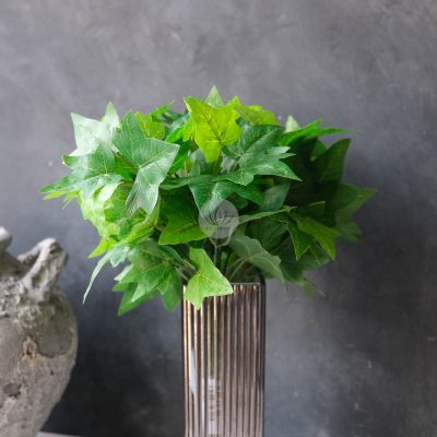 English Ivy Bush LWP7156