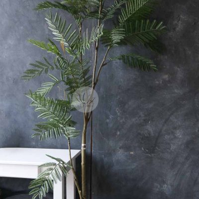 Jacaranda Leaf Tree with Pot LWP7442