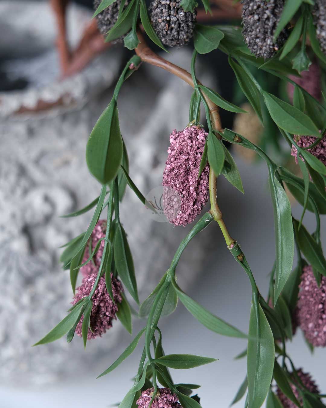 Mulberry Spray XF9979 - Image 2