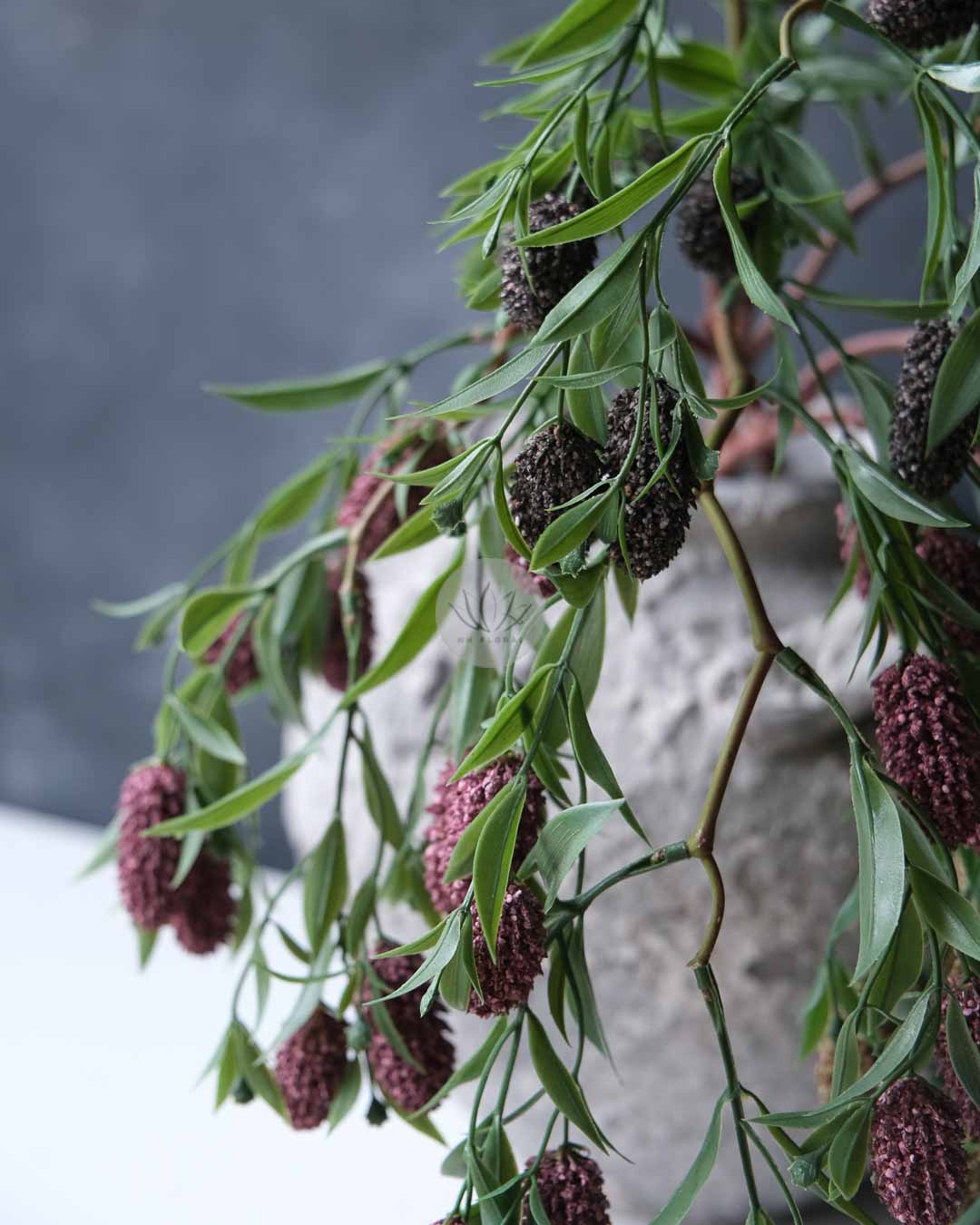 Mulberry Spray XF9979 - Image 4