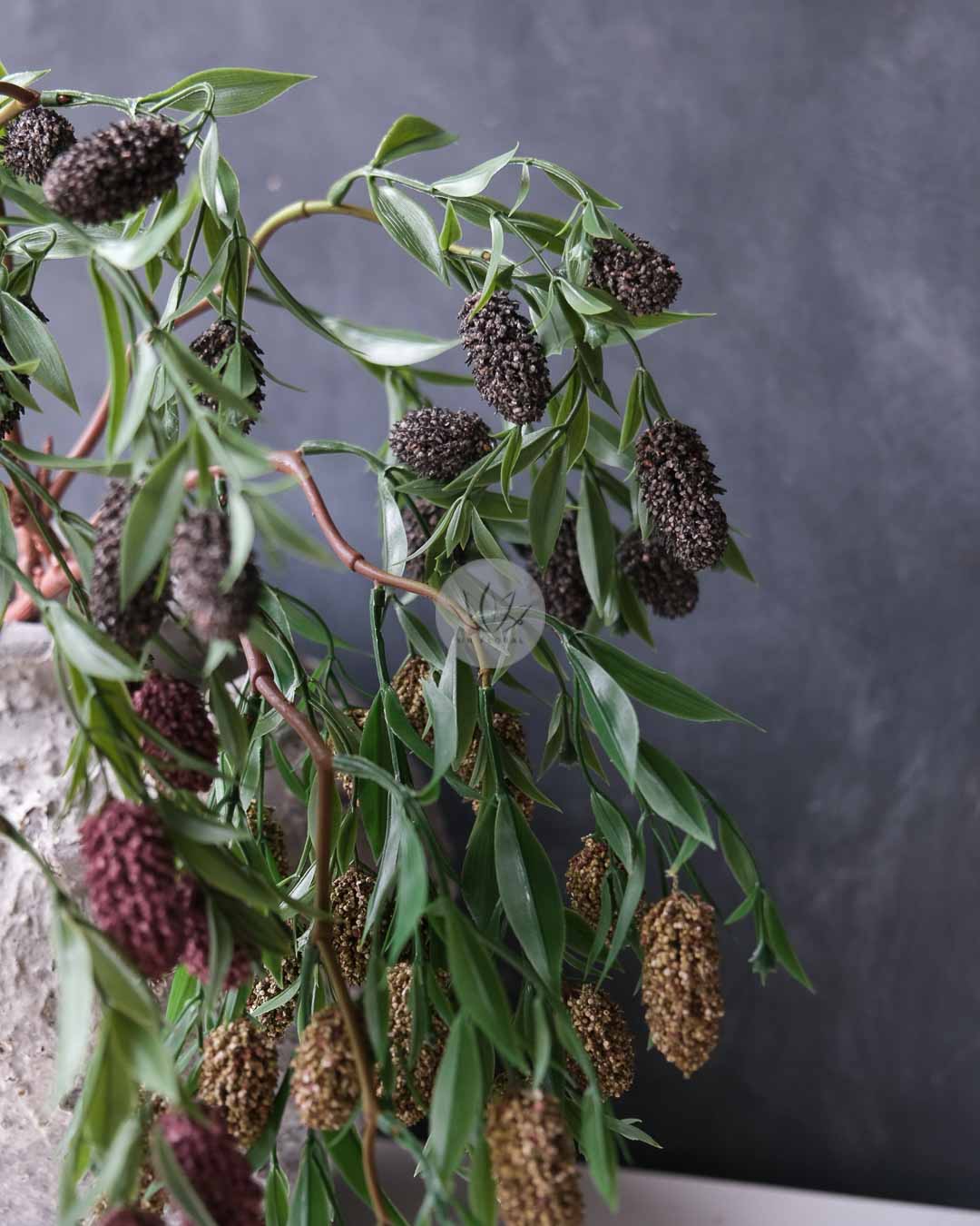 Mulberry Spray XF9979 - Image 5