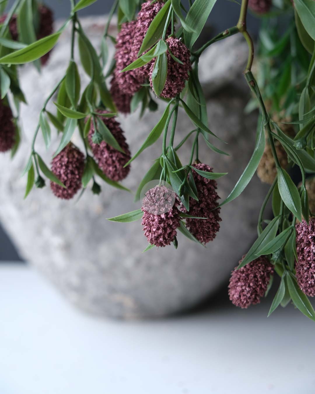 Mulberry Spray XF9979 - Image 6