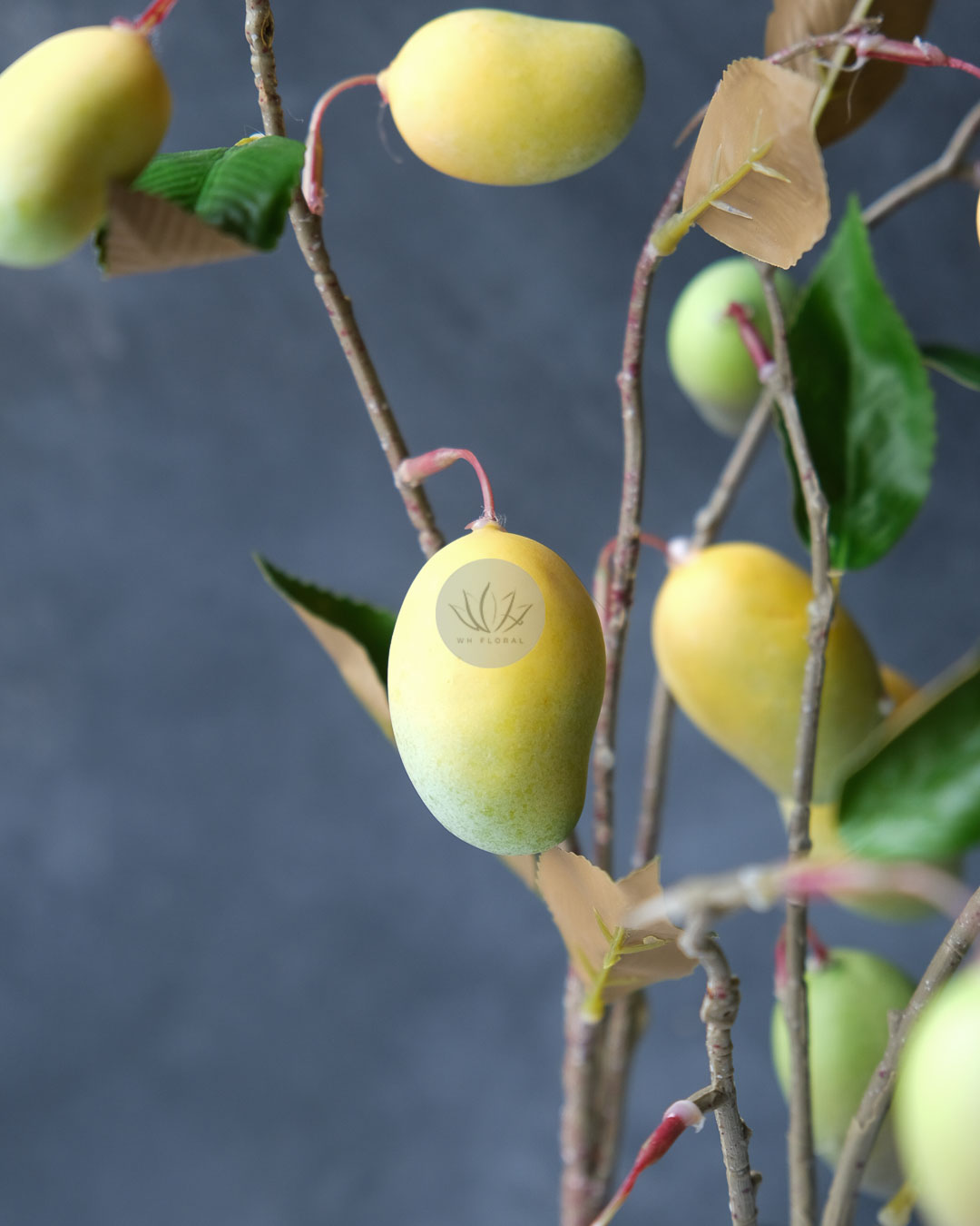 Mango Spray XF9982 - Image 2