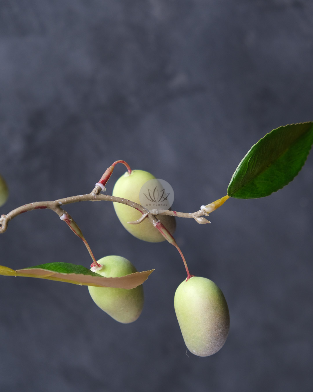 Mango Spray XF9982 - Image 3