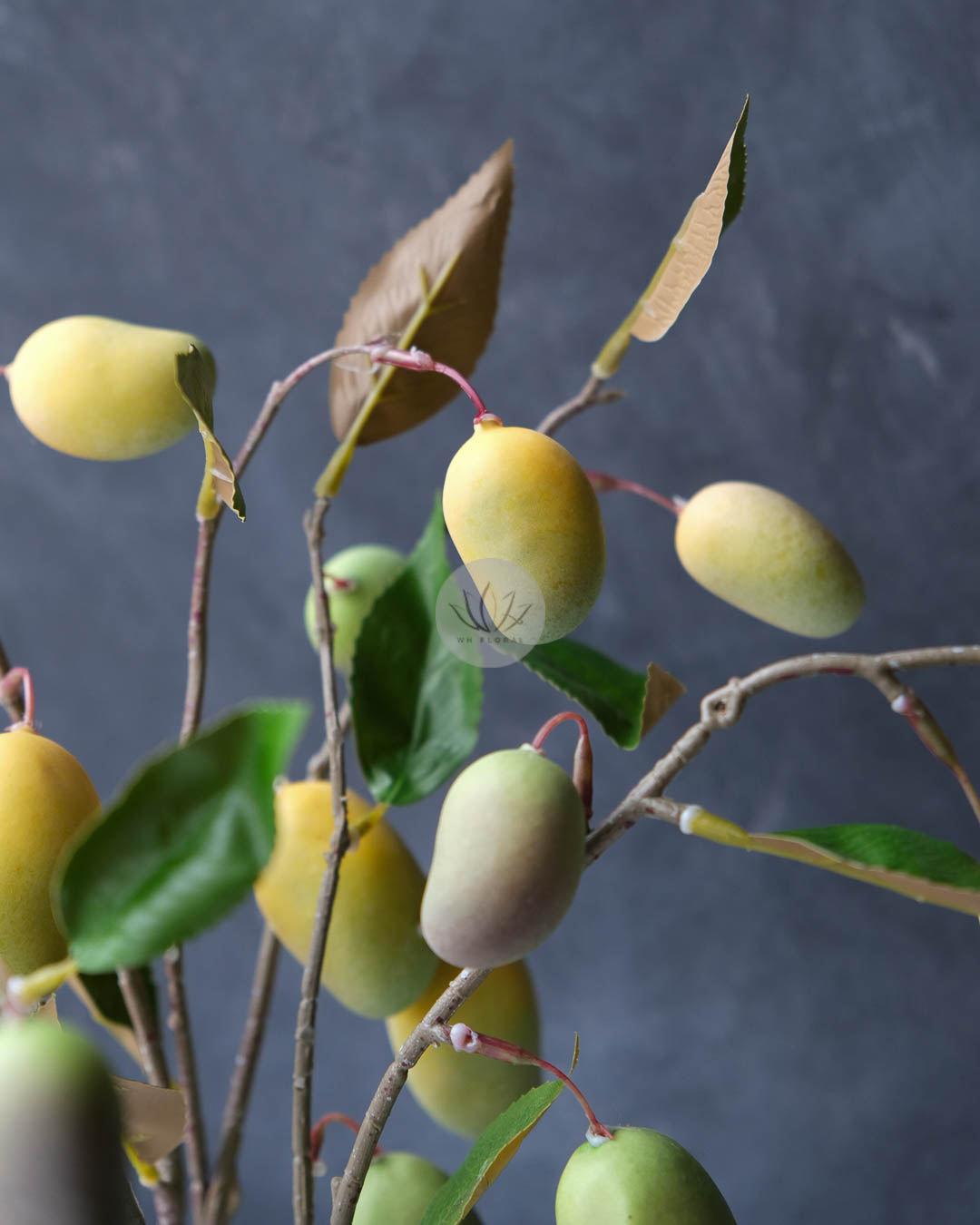 Mango Spray XF9982 - Image 4
