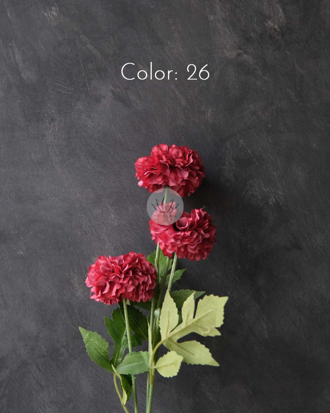 Pompom Spray XF9998 - Image 9