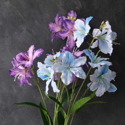 Bauhinia Flower Spray XF9643
